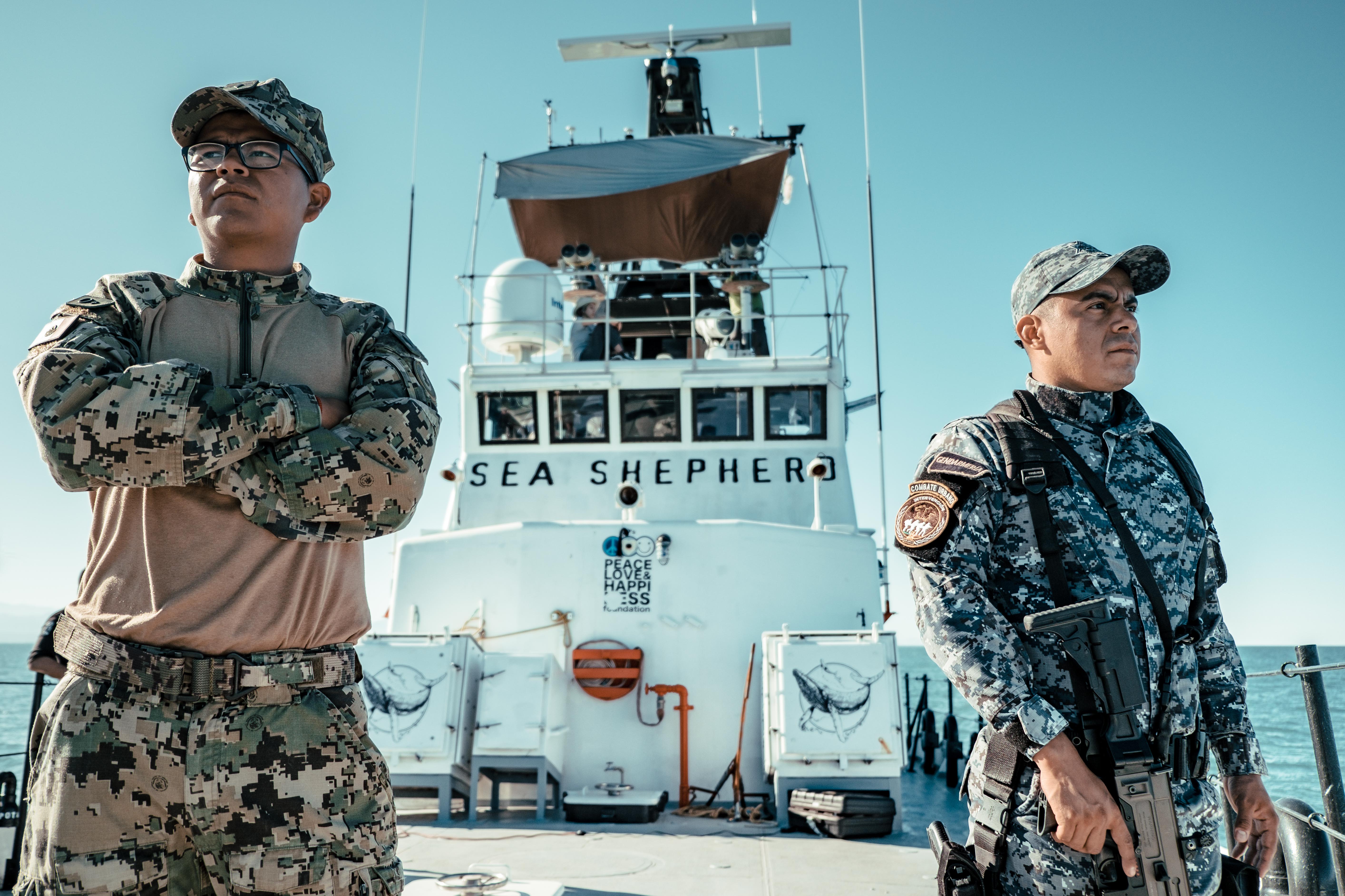 Expedition Sights Endangered Vaquita Porpoise and Rampant Fishing Inside Biosphere Reserve