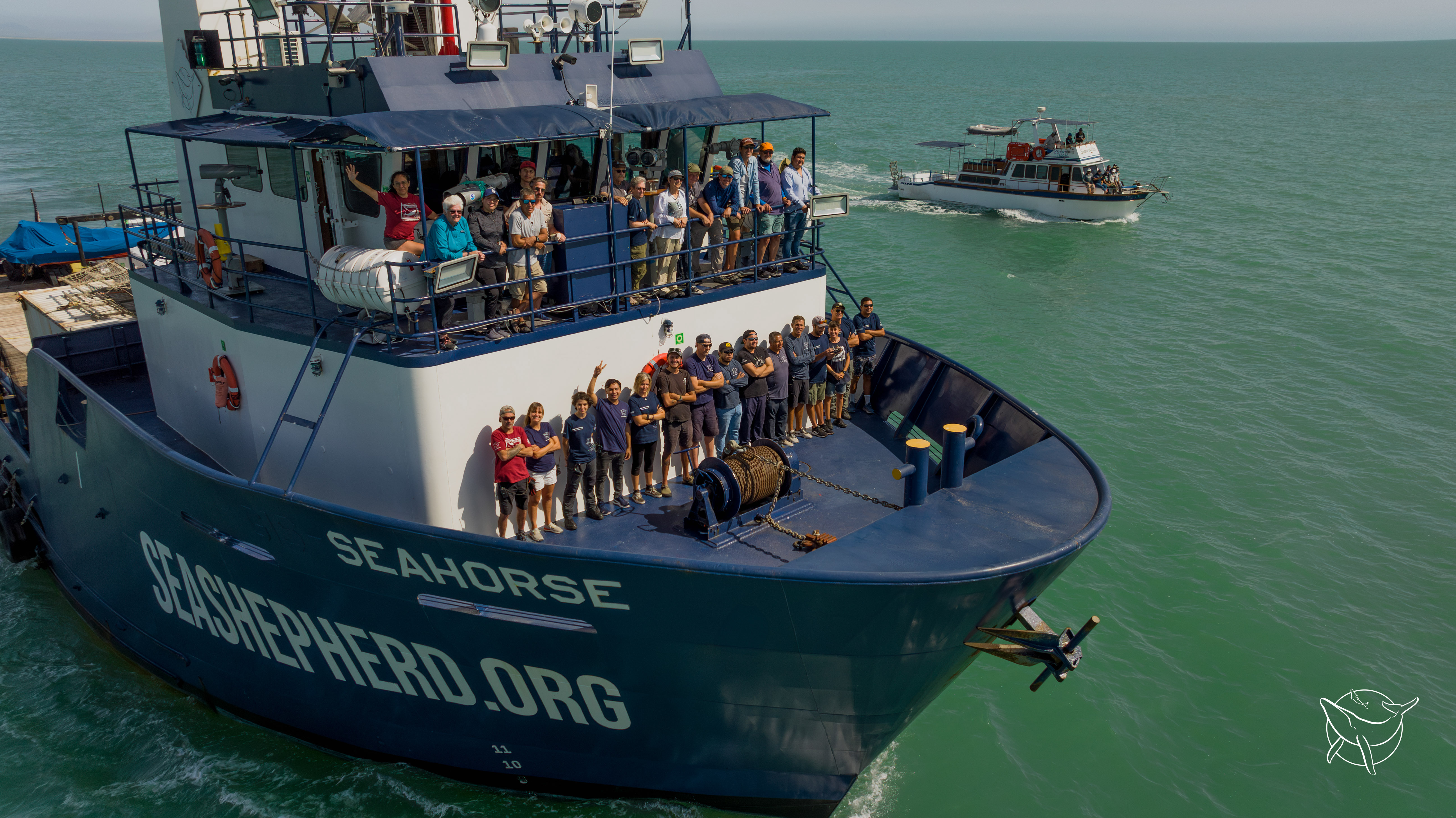 Vaquita Survey 2024: Executive Summary