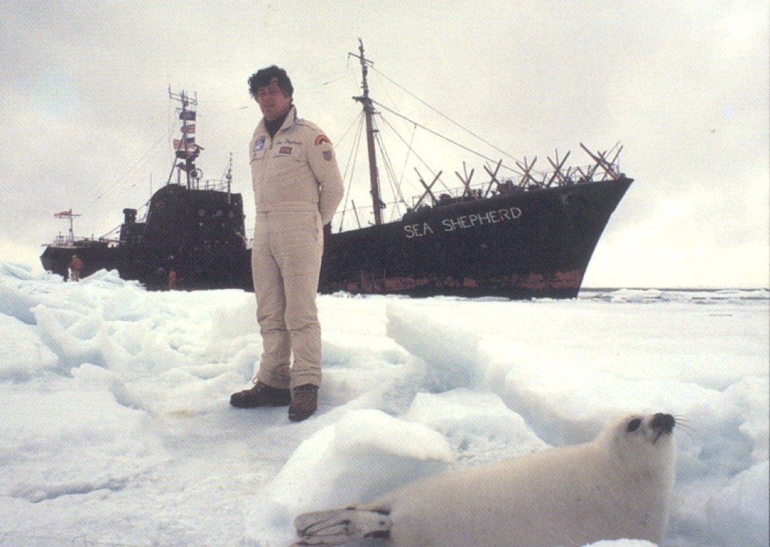 Sea Shepherd Calls For Release of Paul Watson