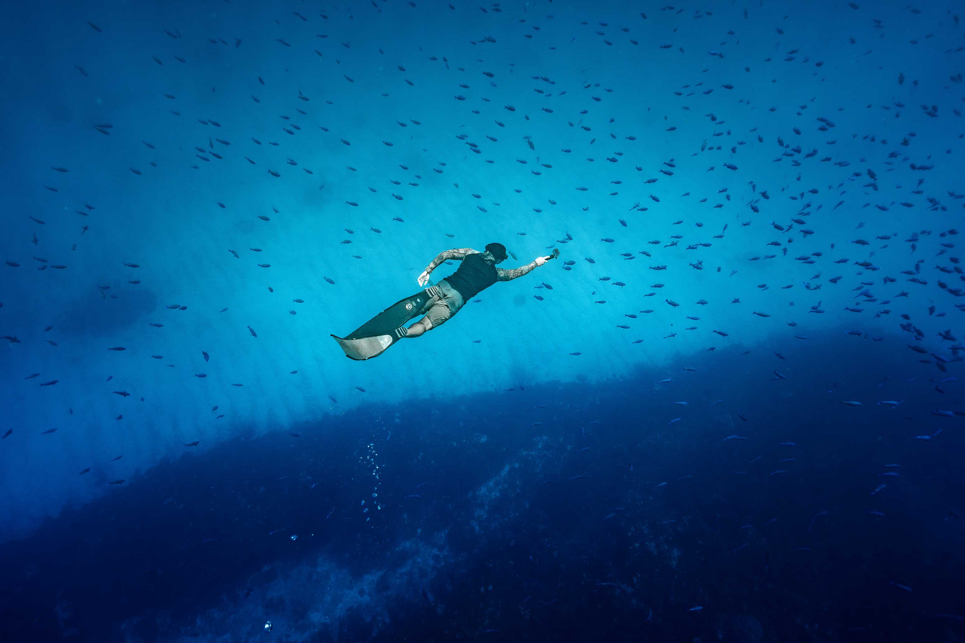 Global Biodiversity in Crisis: How Sea Shepherd is Contributing to the Solution