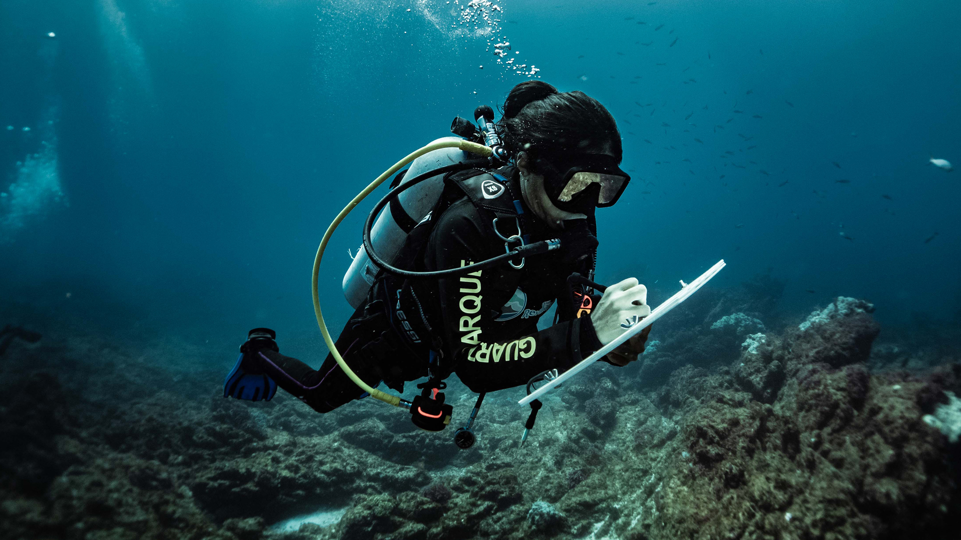 Sea Shepherd: Operation Treasured Islands