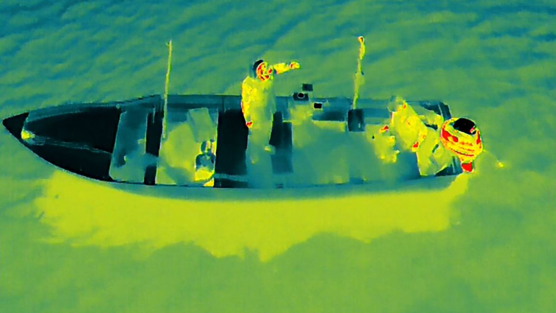 Poachers Caught Using Cloned Permit in Vaquita Refuge