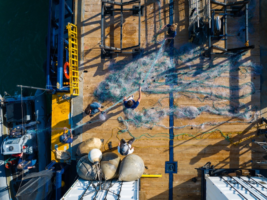 Sea Shepherd Calls for International Protections to Stop Illegal Fishing in Vaquita Habitat