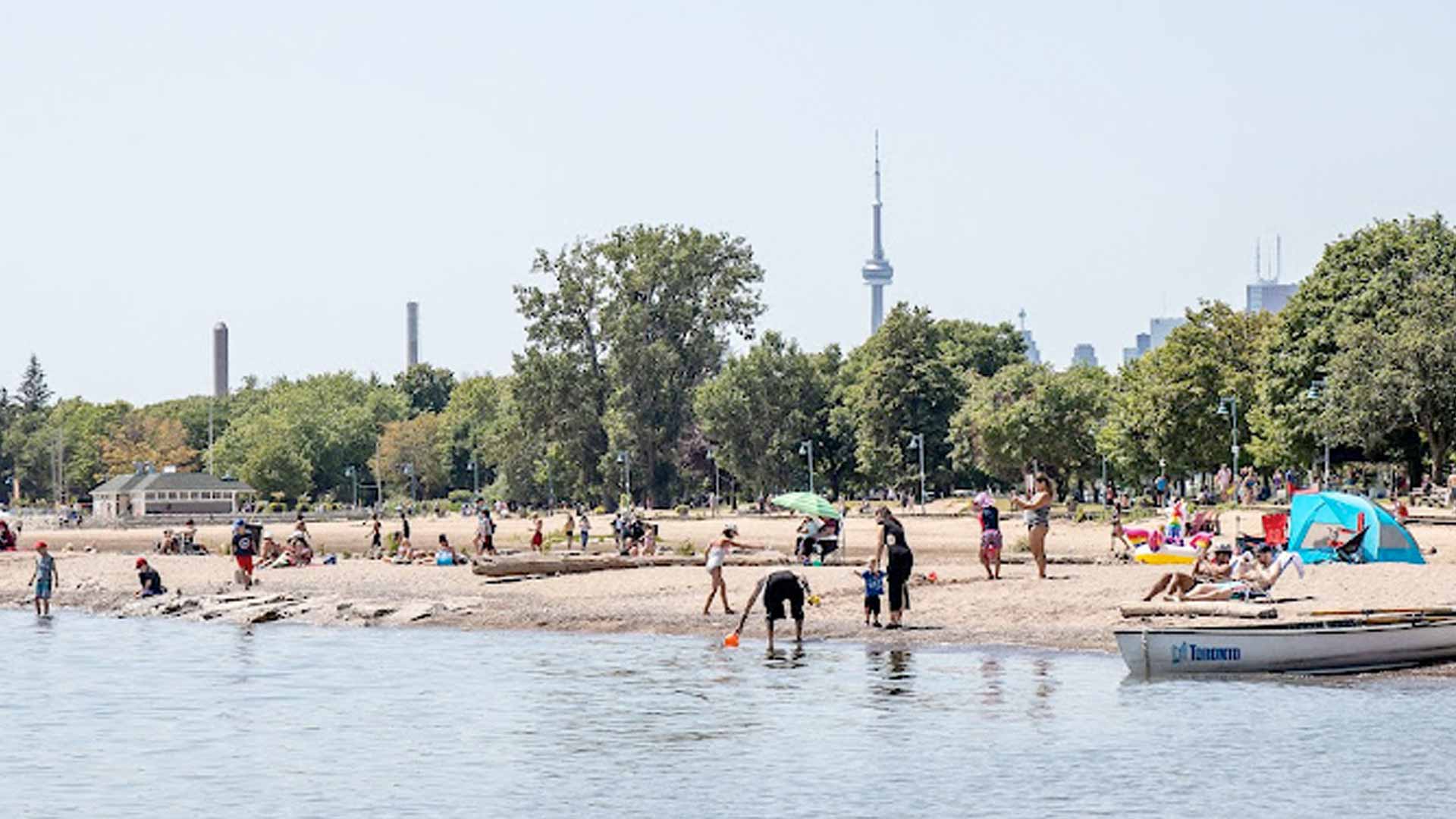 Join Sea Shepherd’s Toronto Sunset Cleanup – June 8