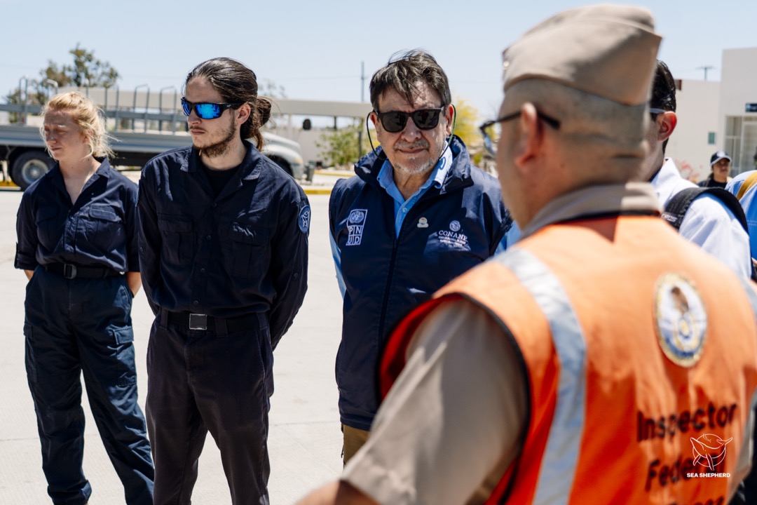 Sea Shepherd Welcomes CONANP Commissioner Aboard