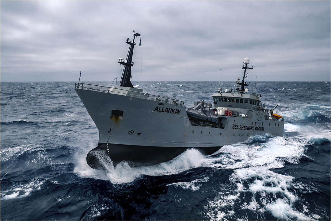 Fleet — Sea Shepherd Conservation Society