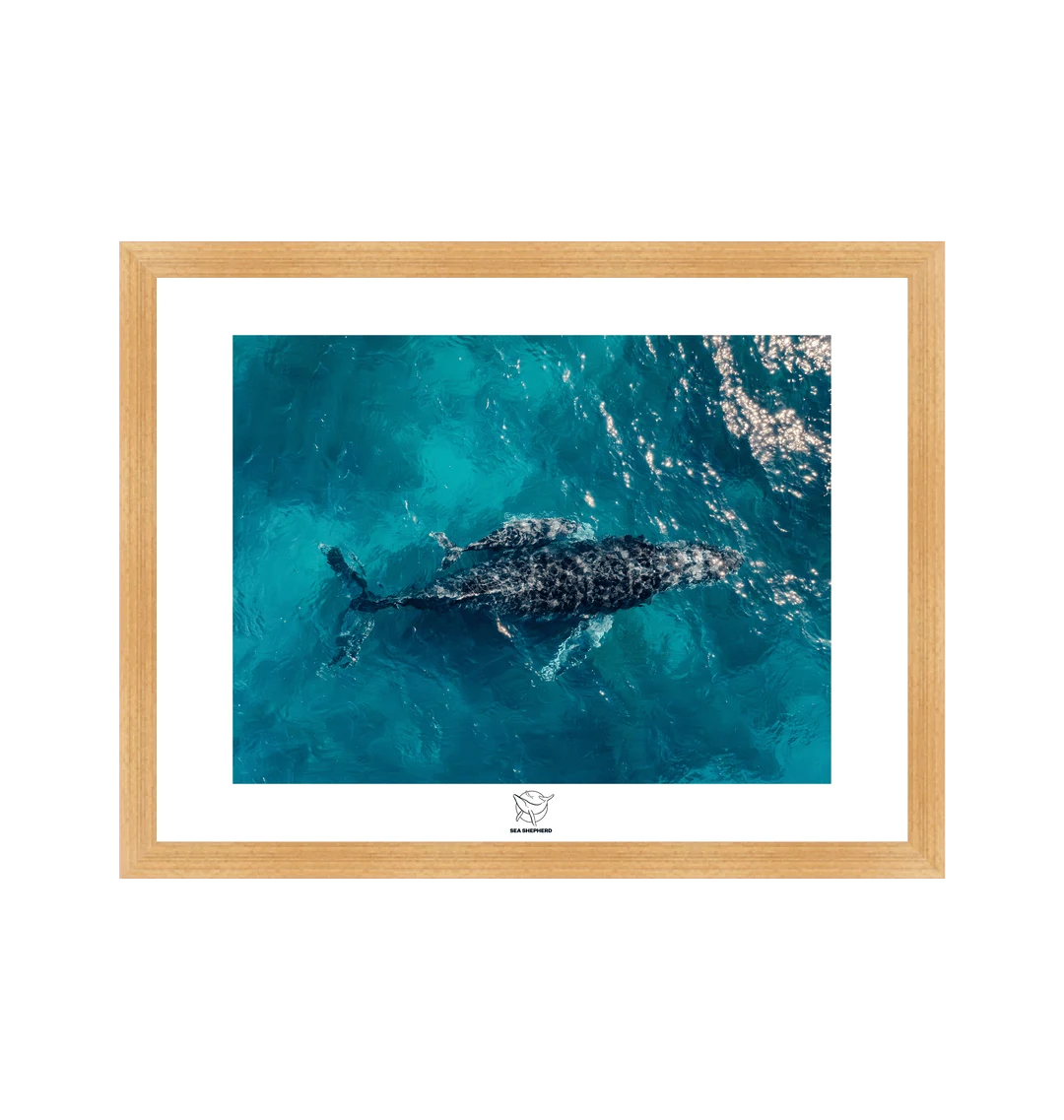 Life Uninterrupted: Limited Edition Prints Now Available