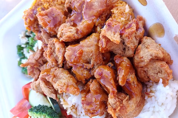 Oceanside-VeganFoodFest-2024-7 Oceanside-VeganFoodFest-2024-7