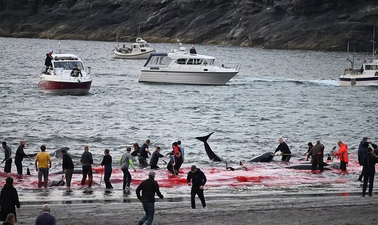 The Sustainability Myth