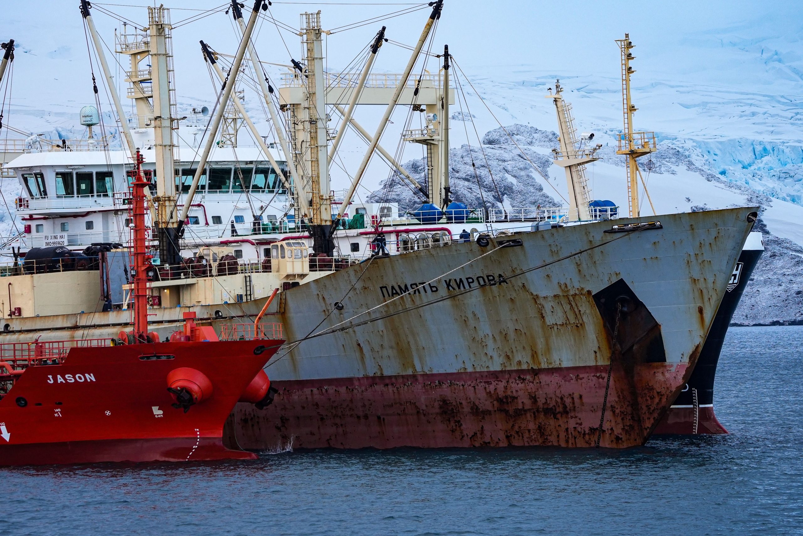 Antarctic Krill Harvest Surges