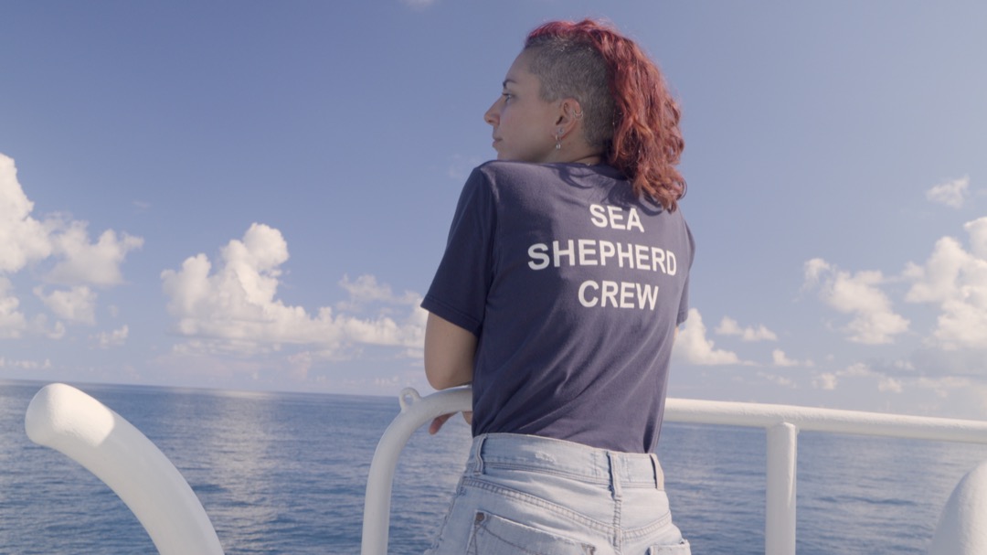 Life on Patrol at Scorpion Reef