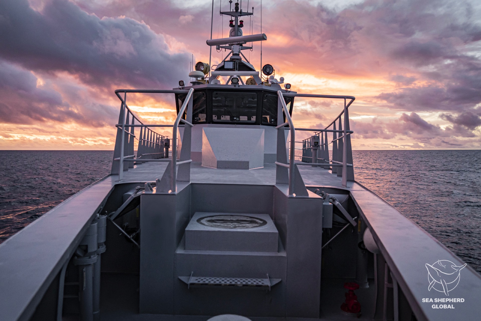 A Message from William Shatner: Urgent Call to Support Sea Shepherd
