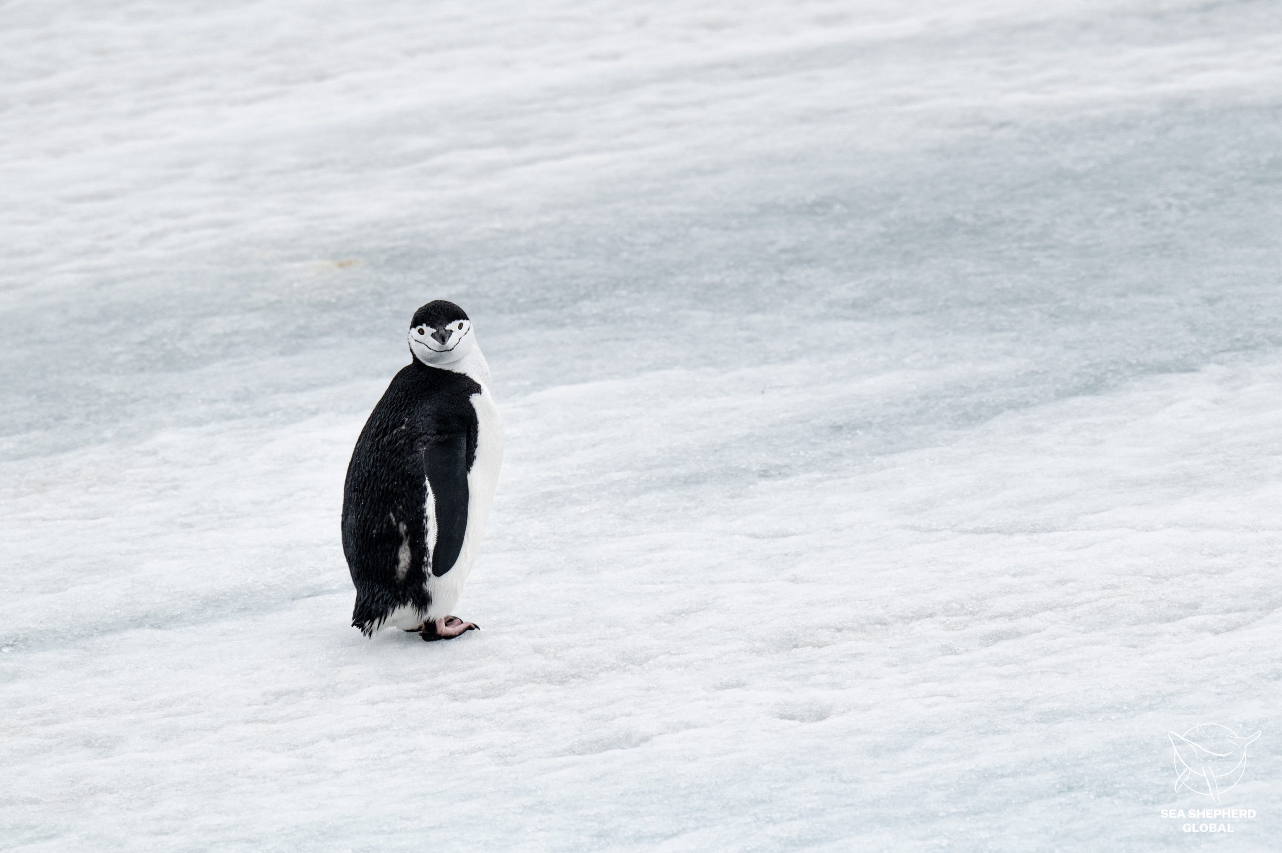 Holiday Gifts That Power Our Missions at Sea