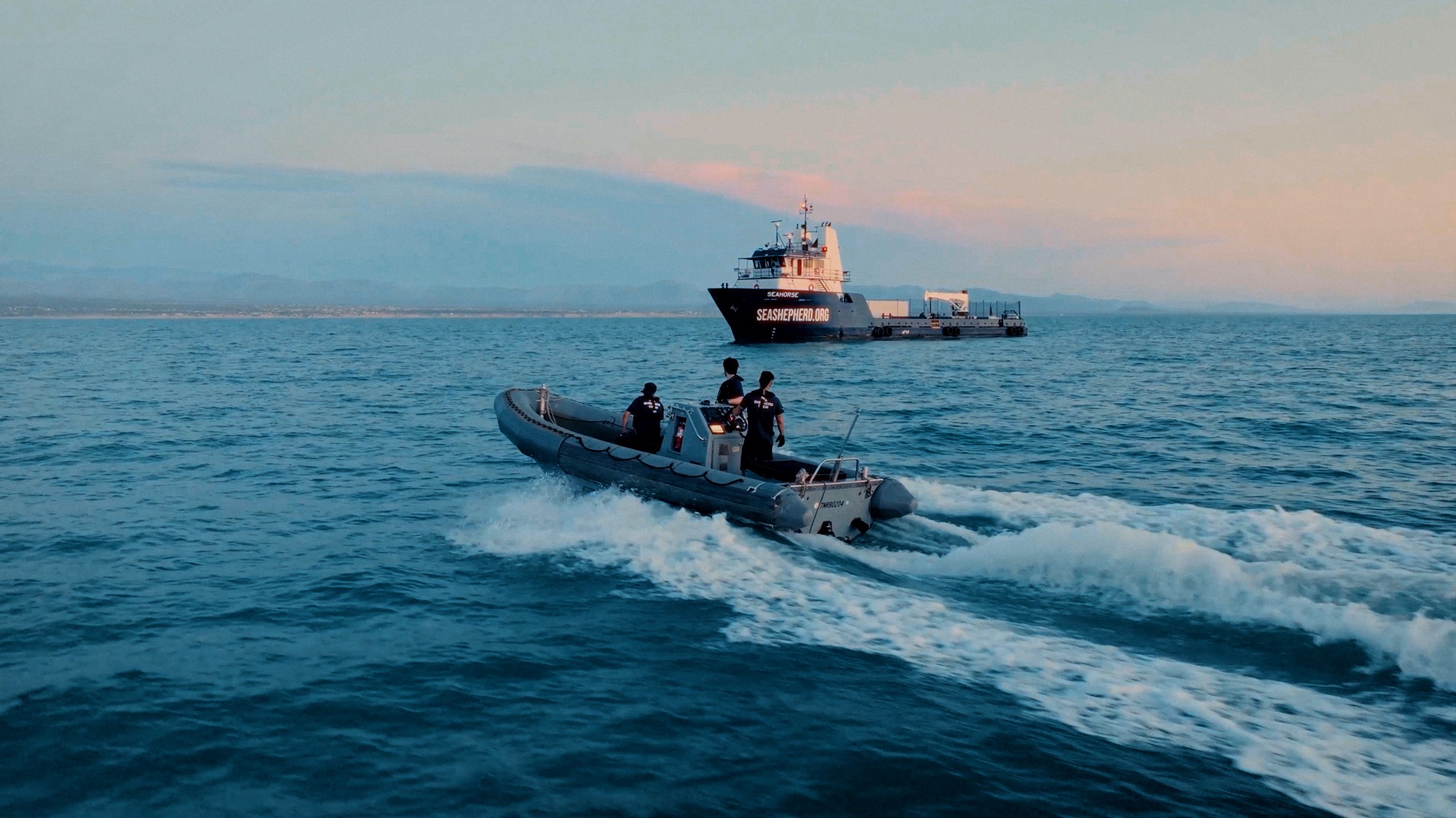 Defending Life At Sea: 2025 In Review