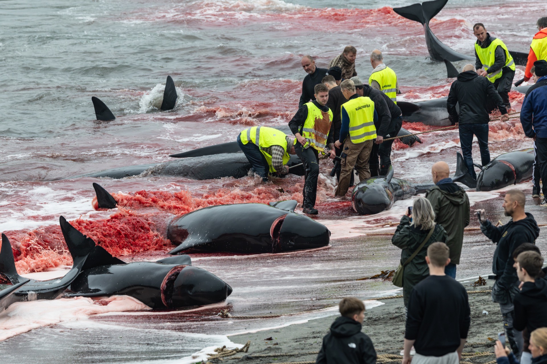 Listen: Oceanographic Magazine on the Faroe Islands