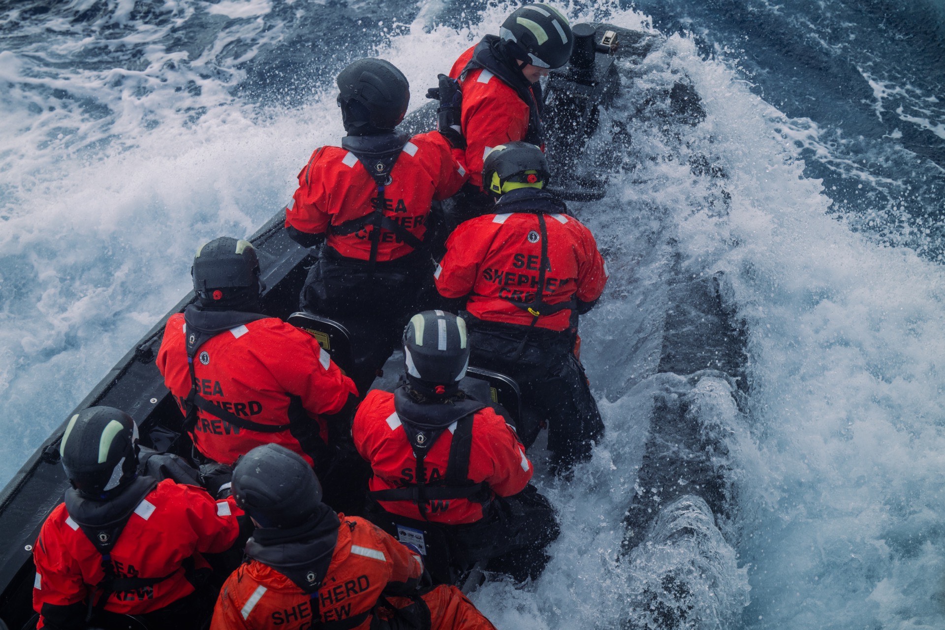 Sea Shepherd Returns to Antarctic Whale Feeding Grounds Amid Escalating Krill Fishing