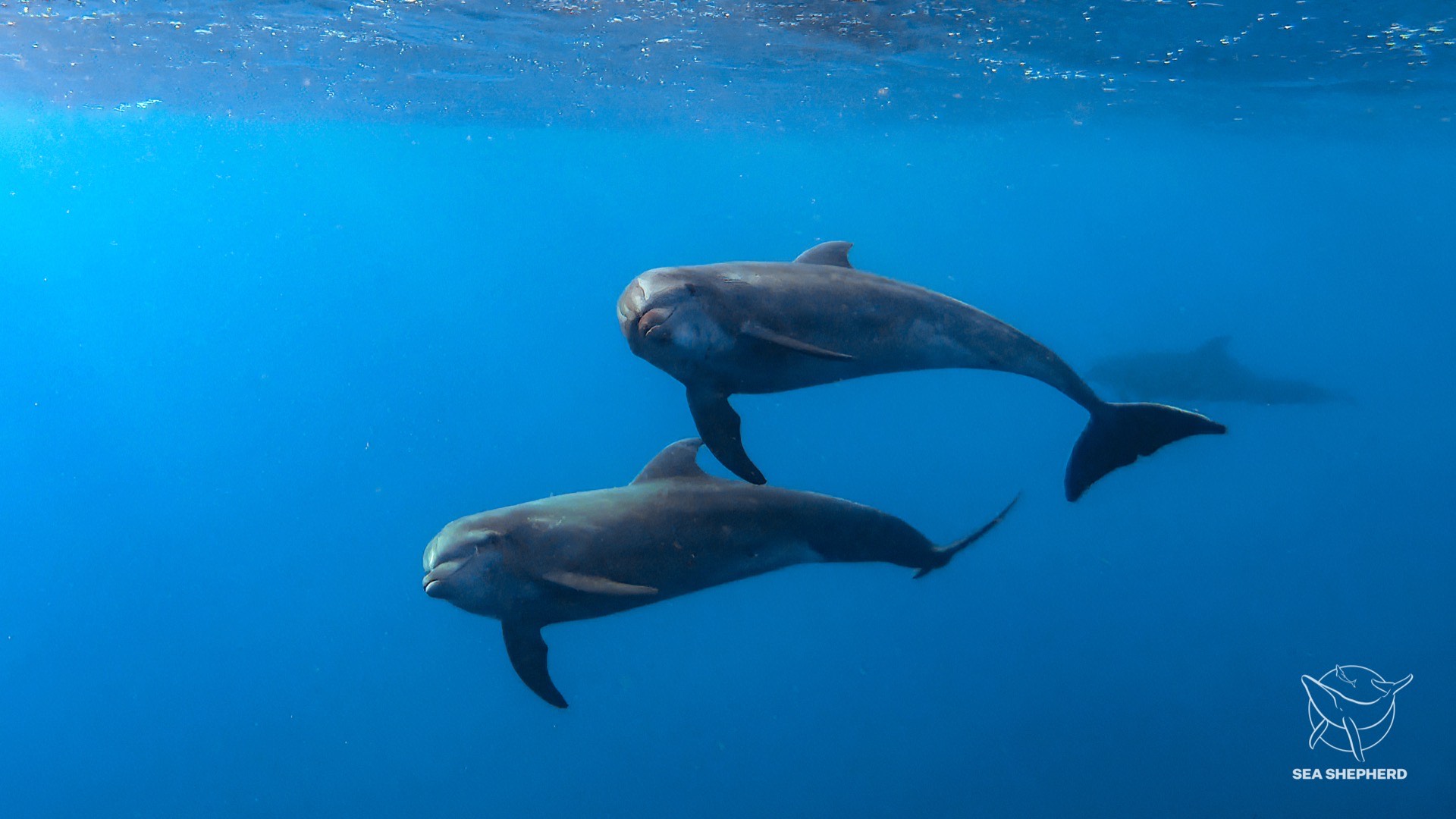 A Funny Thing Happened on the Way to Taiji