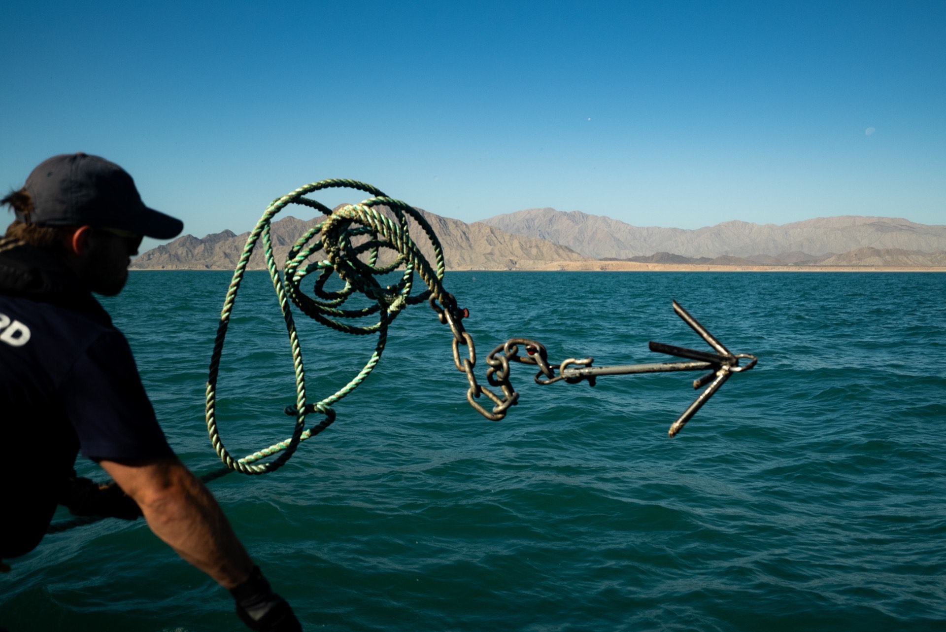 Grappling Hooks: An Old Tool in the Vaquita’s Last Refuge