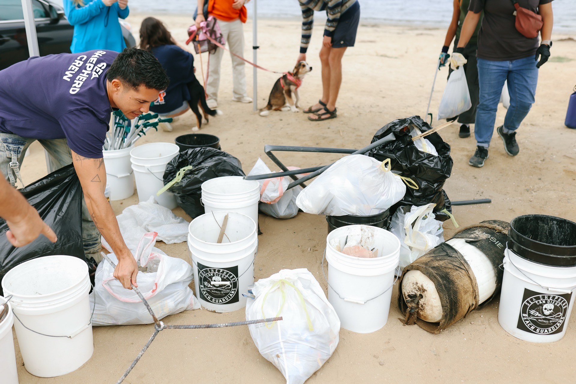 Join Sea Shepherd’s NYC Beach Cleanup: June 8