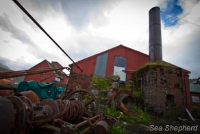 The Last Whaling Station