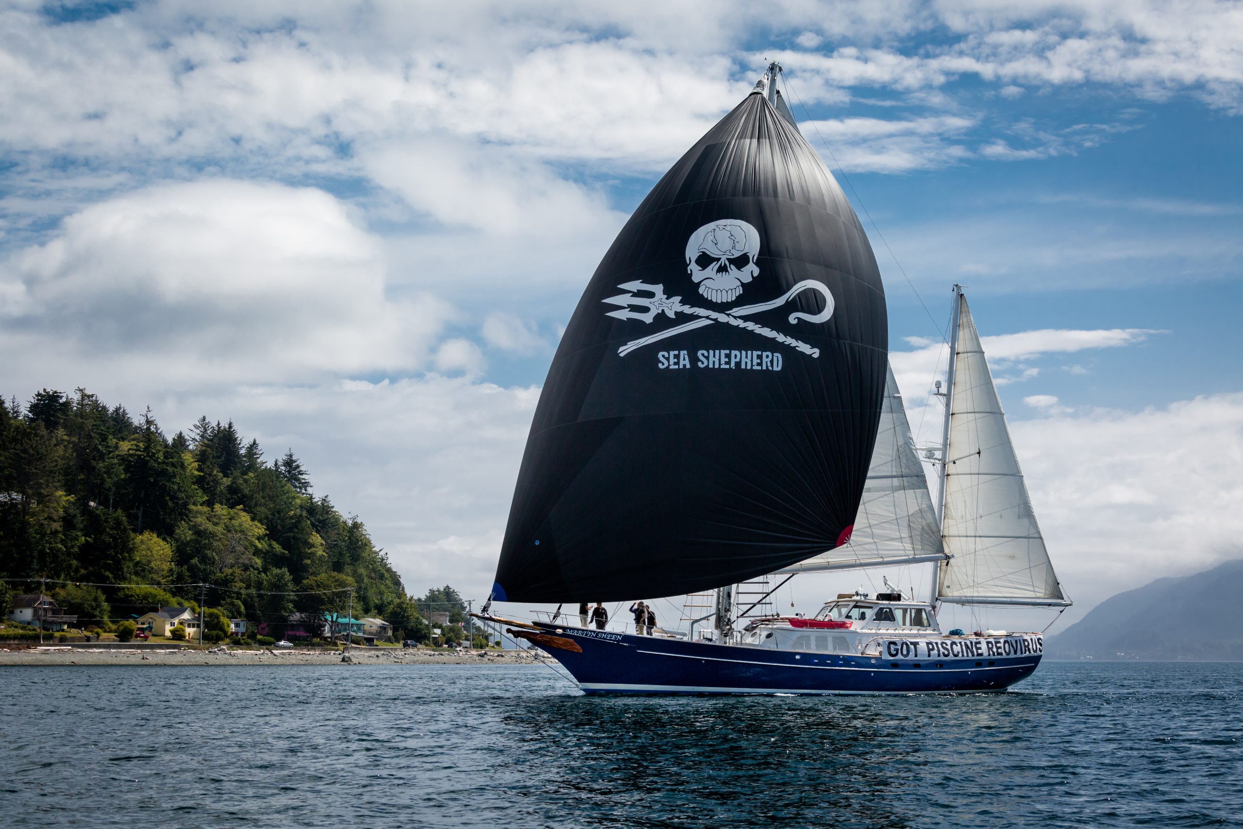 Hope for Wild Salmon and Orca as the Noose Tightens on Salmon Farms