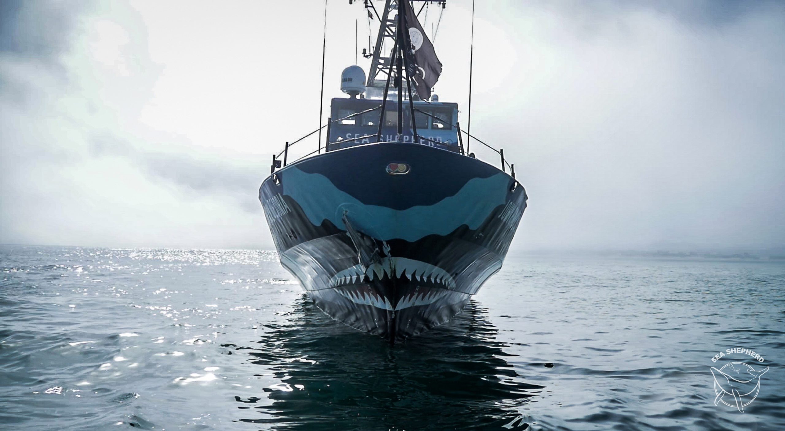 Sea Shepherd Launches Operation Good Pirates for the Bahamas