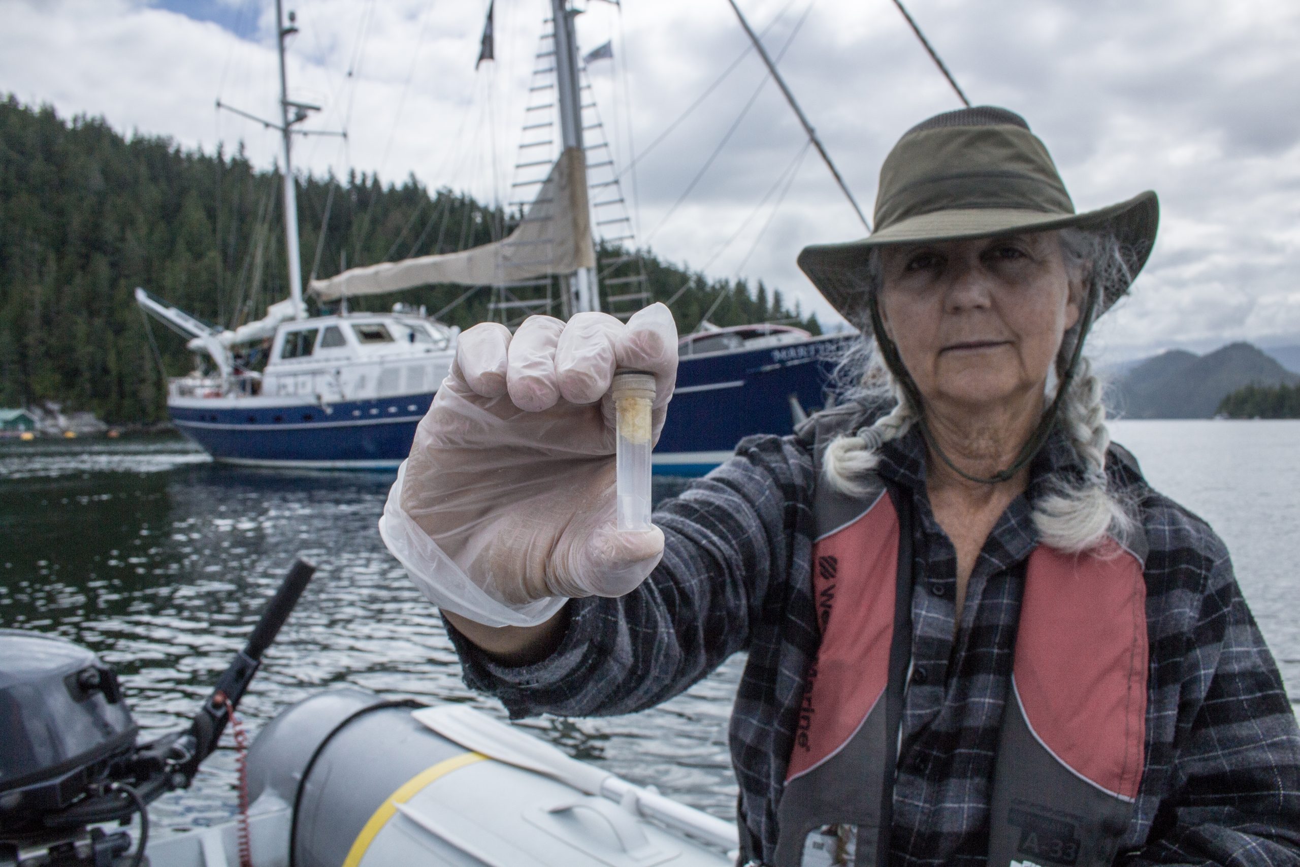 Salmon Farm Research Reveals Alarming Effects on BC’s Ecosystem