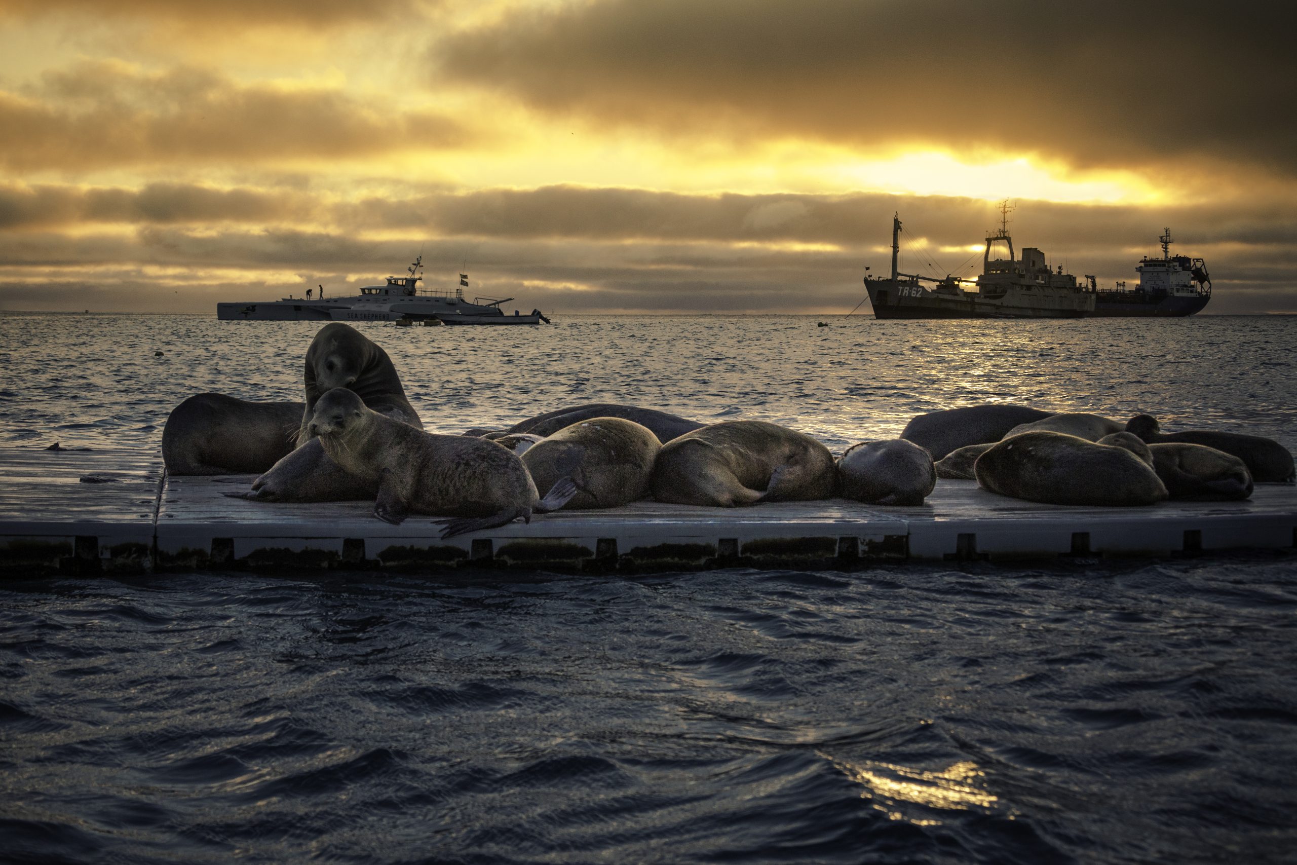 Galapagos Celebrates Their 33rd Anniversary on the World Natural Heritage List