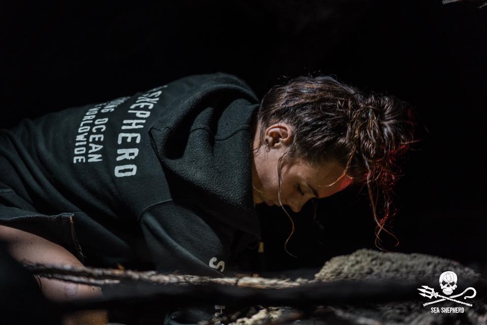 Sea Shepherd Crew Attacked by Turtle Poacher
