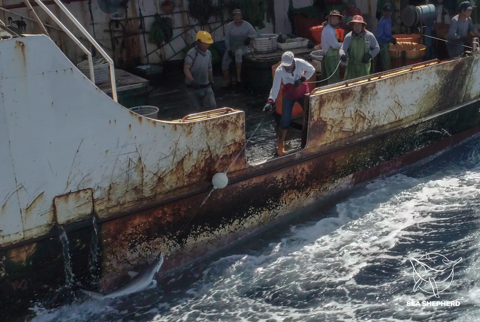 US government calls out China for IUU fishing in response to Sea Shepherd Legal submission