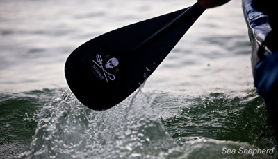Paddling For The Oceans
