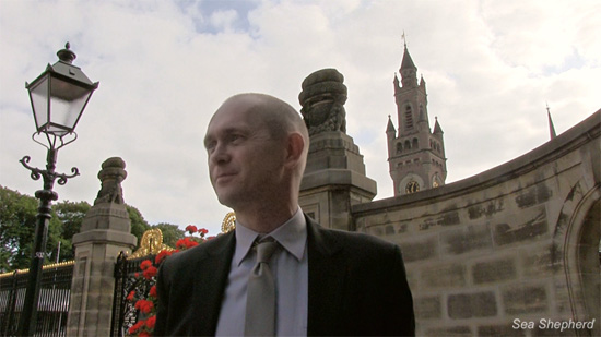 Week Three in The Hague