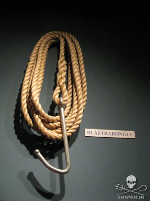 Links Between the Murderers in Taiji and the Faroe Islands