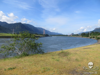 Oregon Officials Execute Fifteen Sea Lions at the Bonneville Dam