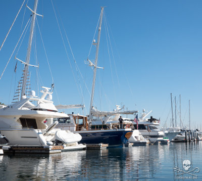 Marina Harbor Anchorage Kindly Offers All Sea Shepherd Vessels Free Berth